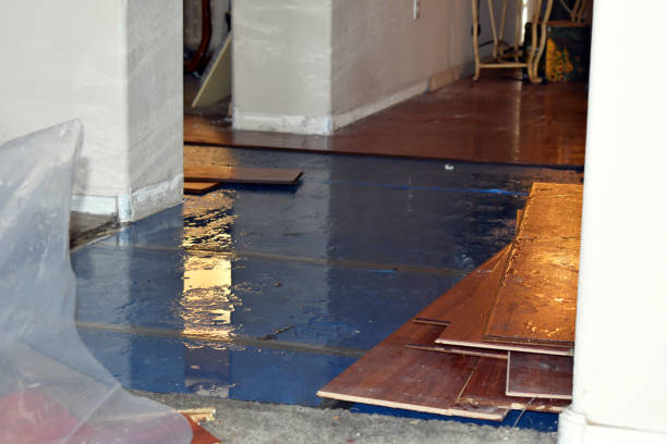 Professional Crawl Space Water Removal technician working in Central Point, OR